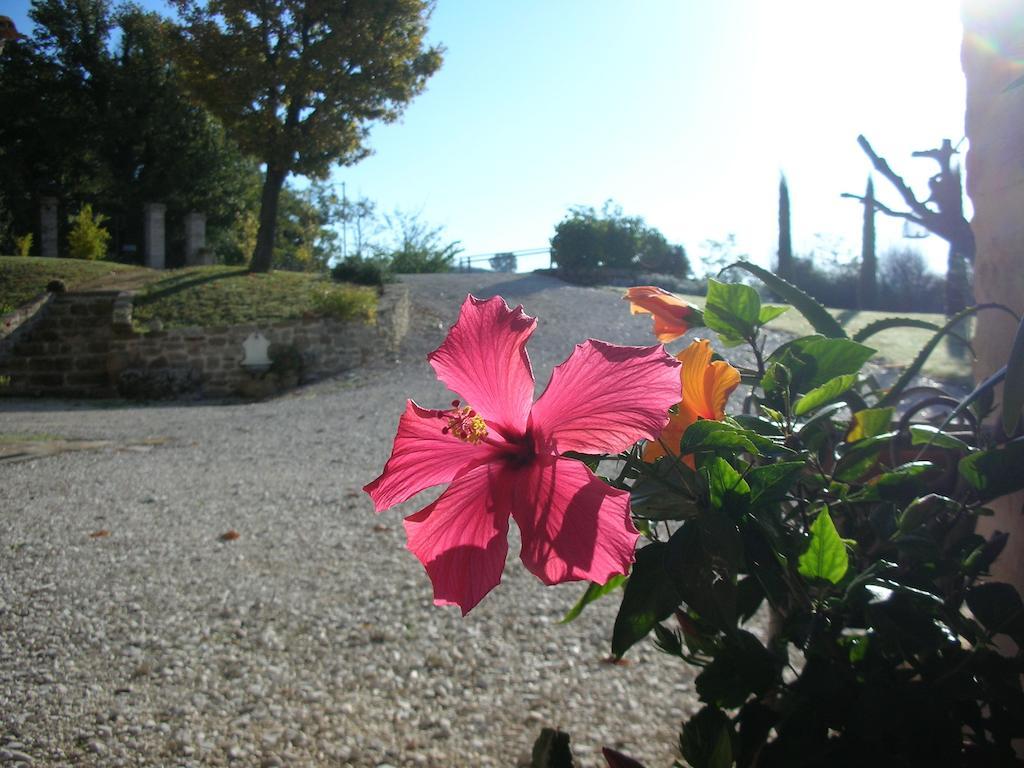Bed and Breakfast Poggio Dei Prugnoli Tavoleto Exterior foto